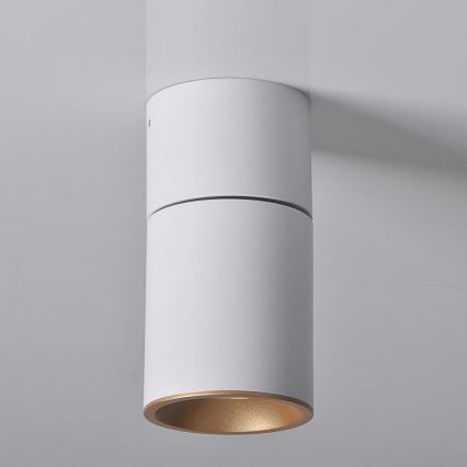 Luce Spot NIXA 1xGU10/10W/230V bianco/oro