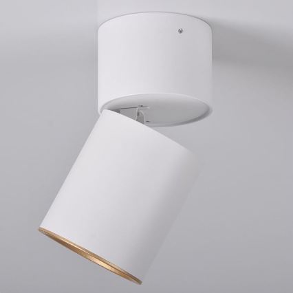 Luce Spot NIXA 1xGU10/10W/230V bianco/oro