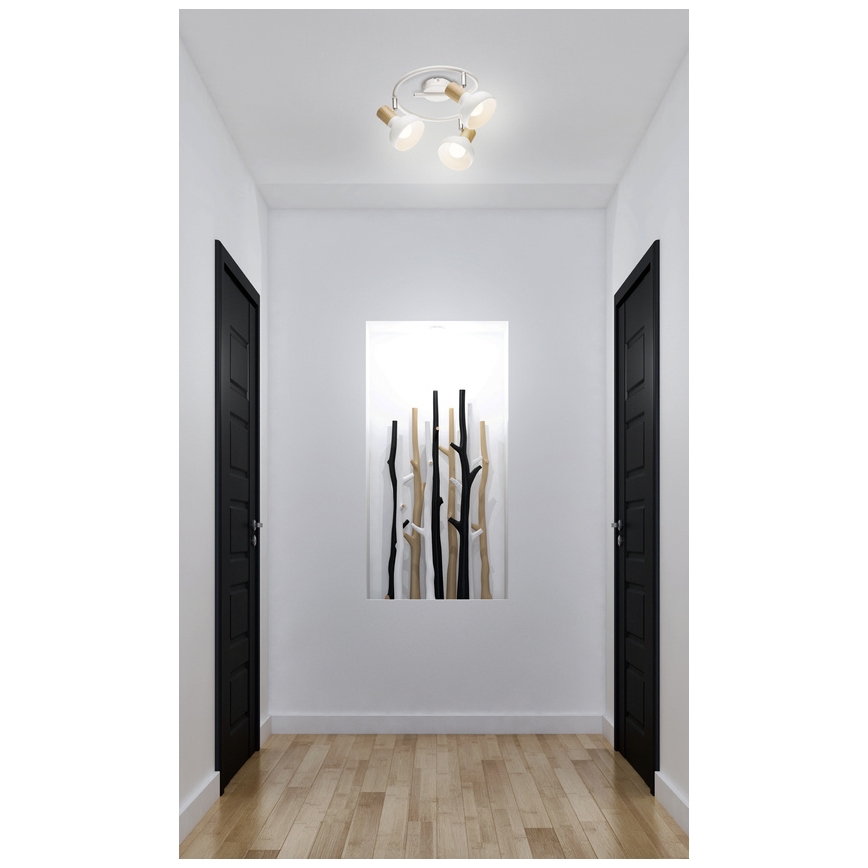 Luce Spot PUERTO 3xE14/40W/230V
