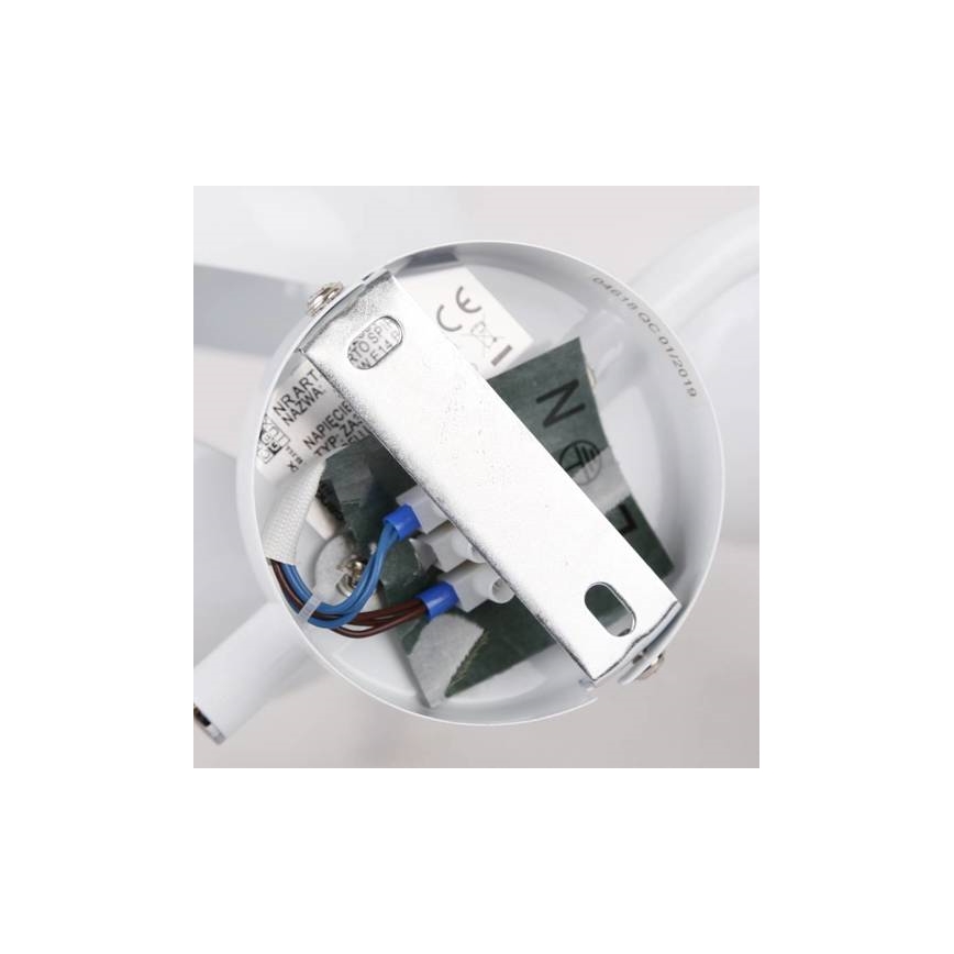 Luce Spot PUERTO 3xE14/40W/230V