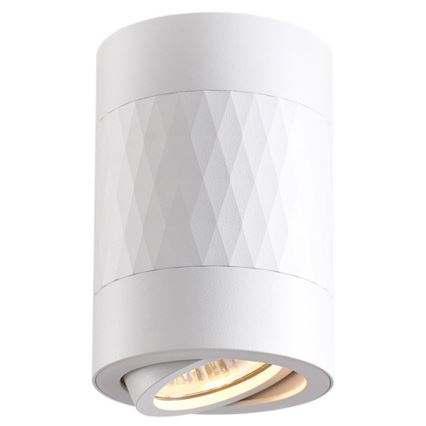 Luce Spot RUBIN 1xGU10/10W/230V bianco