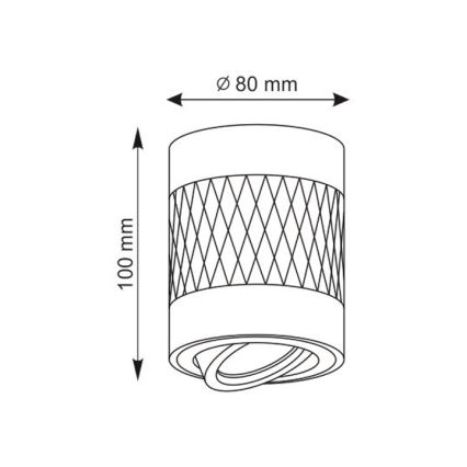 Luce Spot RUBIN 1xGU10/10W/230V bianco