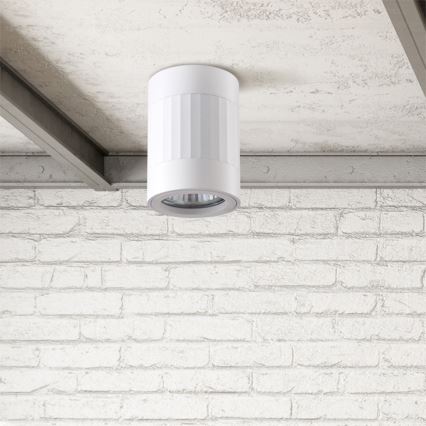 Luce Spot RUBIN 1xGU10/10W/230V bianco