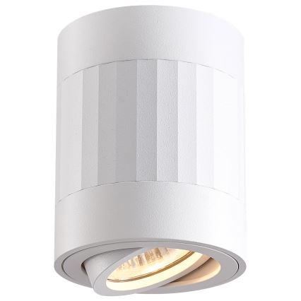 Luce Spot RUBIN 1xGU10/10W/230V bianco