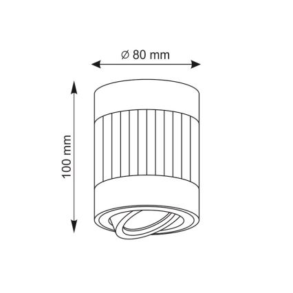 Luce Spot RUBIN 1xGU10/10W/230V bianco