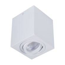 Luce Spot SIN 1xGU10/50W/230V bianco