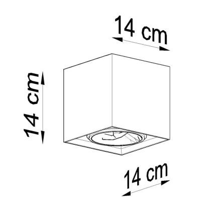 Luce Spot VALDE 1xGU10/40W/230V