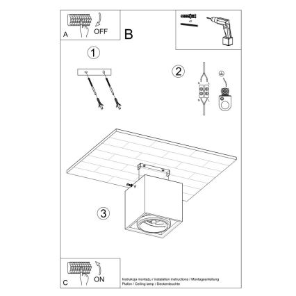 Luce Spot VALDE 1xGU10/40W/230V