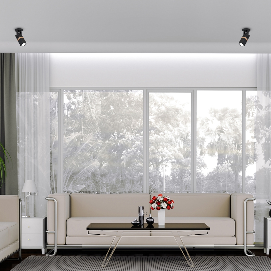 Luce Spot VIDAR 1xGU10/25W/230V