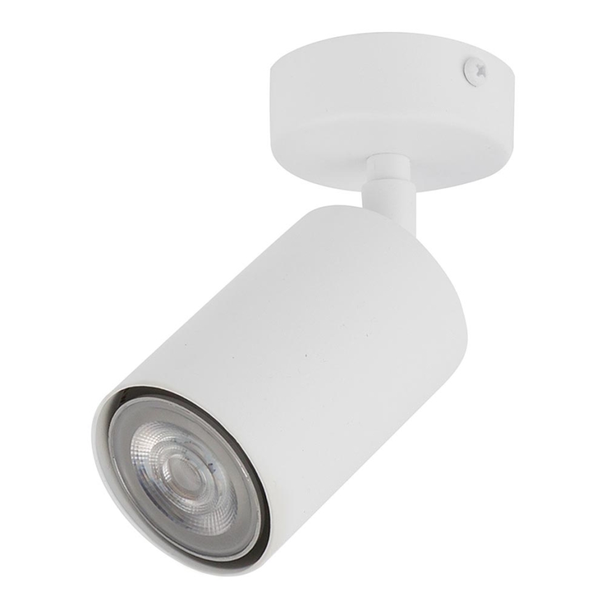 Luce Spot ZOOM 1xGU10/25W/230V bianco