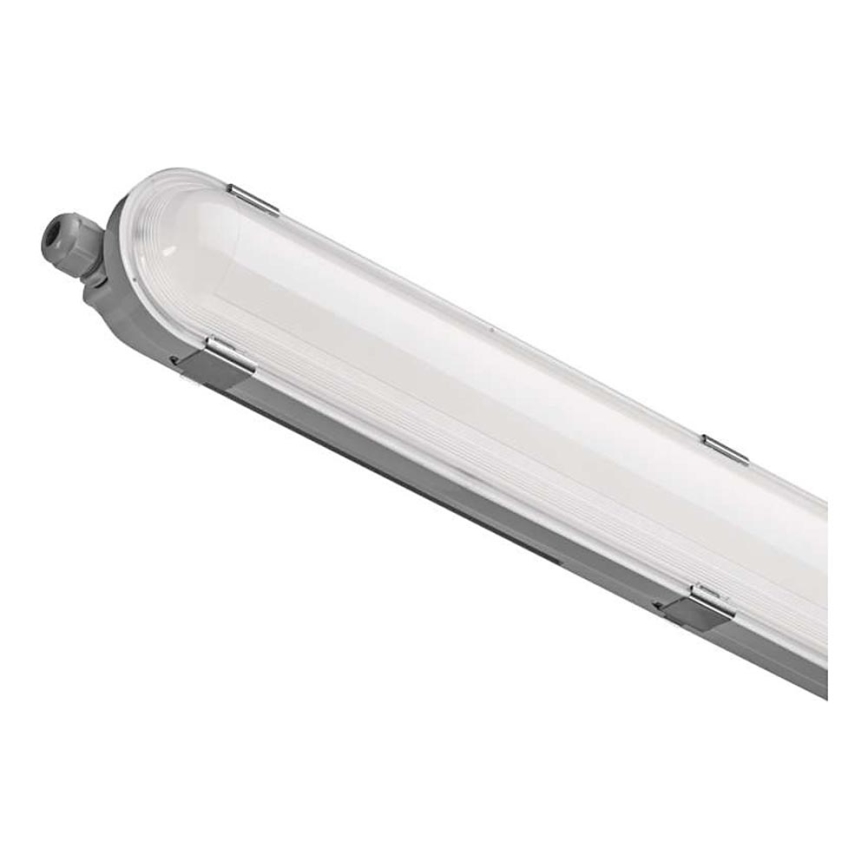 Luce tecnica LED LED/36W/230V IP66