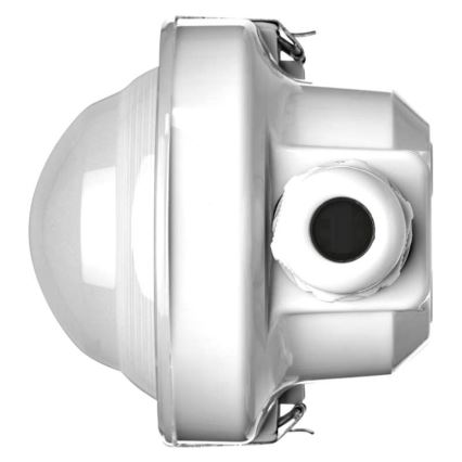 Luce tecnica LED LED/36W/230V IP66