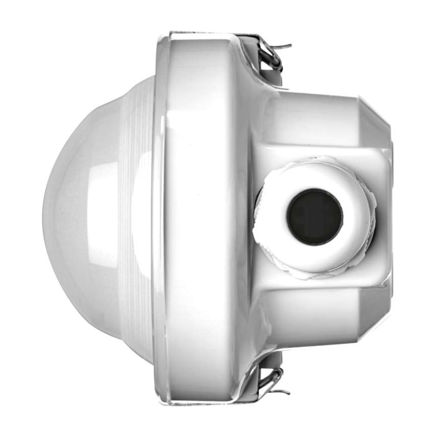 Luce tecnica LED LED/36W/230V IP66