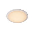 Lucide 28859/30/31 - Lampada LED da bagno ORAS LED/20W/230V IP54 bianco