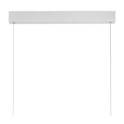 Lucide 45455/50/31 - Lampadario a sospensione con filo LED dimmerabile RAYA LED LED/36W/230V 119 cm bianco
