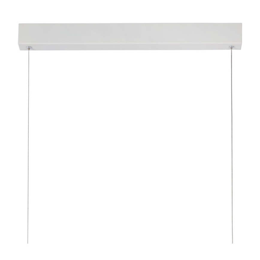 Lucide 45455/50/31 - Lampadario a sospensione con filo LED dimmerabile RAYA LED LED/36W/230V 119 cm bianco