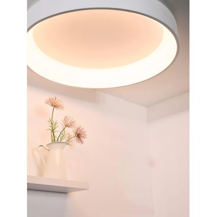Lucide 46100/80/31 - Lampada da soffitto dimmerabile a LED TALOWE LED/80W/230V ? 80 cm