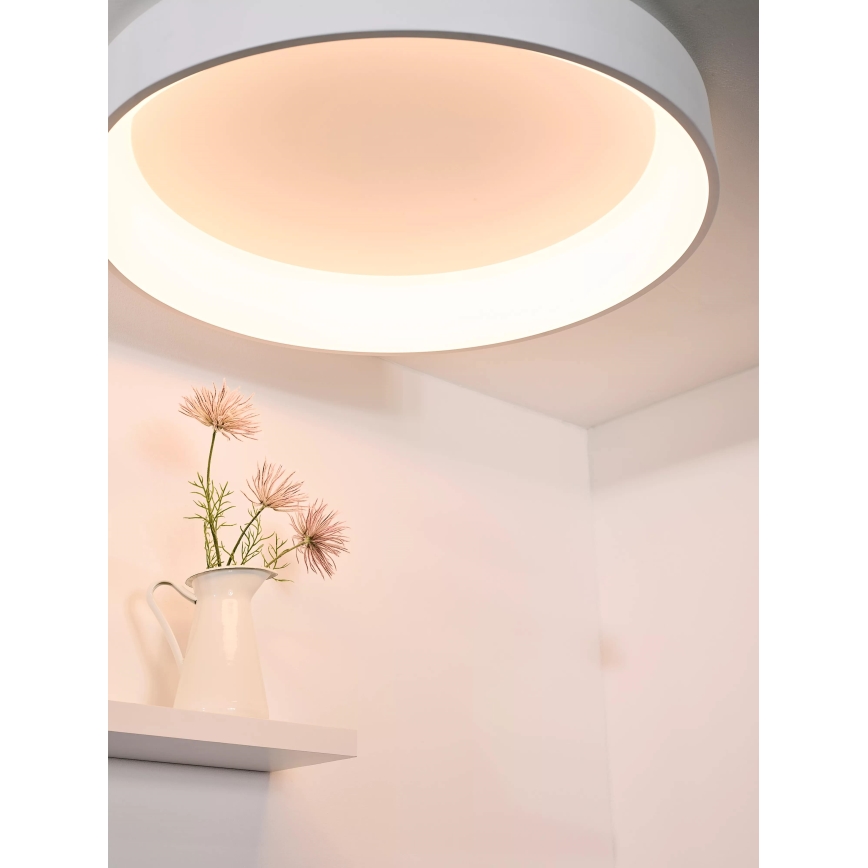 Lucide 46100/80/31 - Lampada da soffitto dimmerabile a LED TALOWE LED/80W/230V ? 80 cm