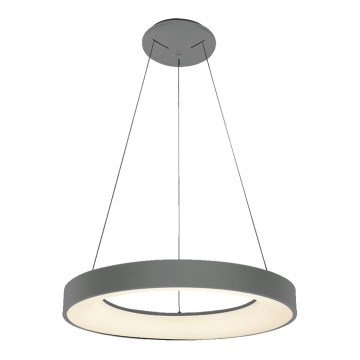 Luxera 18406 - Lampadario a sospensione con filo LED dimmerabile GENTIS 1xLED/50W/230V