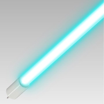 Luxera 70419 - Tubo germicida per disinfezione T5 UVC, 8 W, 230 V