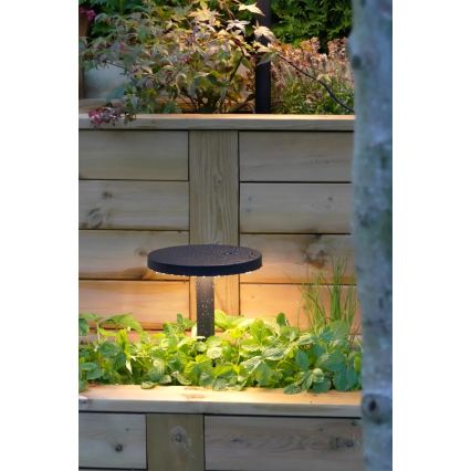 Markslöjd 108173 - Lampada da esterno LED GARDEN24 LED/5W/24V 96 cm IP44 nera