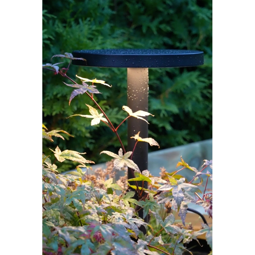 Markslöjd 108173 - Lampada da esterno LED GARDEN24 LED/5W/24V 96 cm IP44 nera