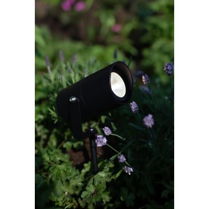 Markslöjd 108484 - Lampada da esterno LED GARDEN24 LED/6W/24V 30 cm IP44 nera