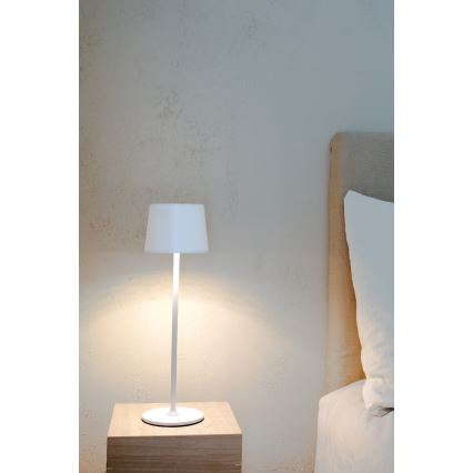 Markslöjd 108654 - Lampada ricaricabile dimmerabile a LED FIORE LED/2W/5V IP44 38 cm bianca