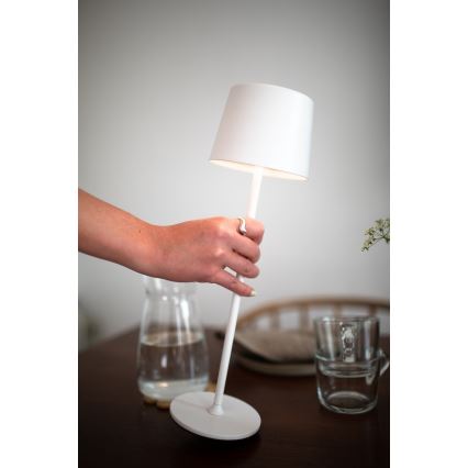 Markslöjd 108654 - Lampada ricaricabile dimmerabile a LED FIORE LED/2W/5V IP44 38 cm bianca
