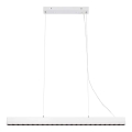 Markslöjd 108892 - Lampada a sospensione dimmerabile a LED su cavo PLANO LED/38W/230V bianca