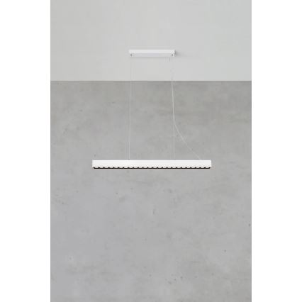 Markslöjd 108892 - Lampada a sospensione dimmerabile a LED su cavo PLANO LED/38W/230V bianca