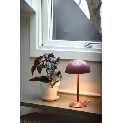 Markslöjd 109142 - Lampada da tavolo ZIN 2xG9/20W/230V rosa