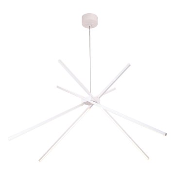 MAXLIGHT P0270 - Lampadario LED a sospensione con filo RAGNO LED/33W/230V bianco