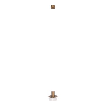 MAXLIGHT P0530 - Lampadario LED a sospensione con filo SIGNATURE LED/8W/230V diametro 15 cm ottone/limpido