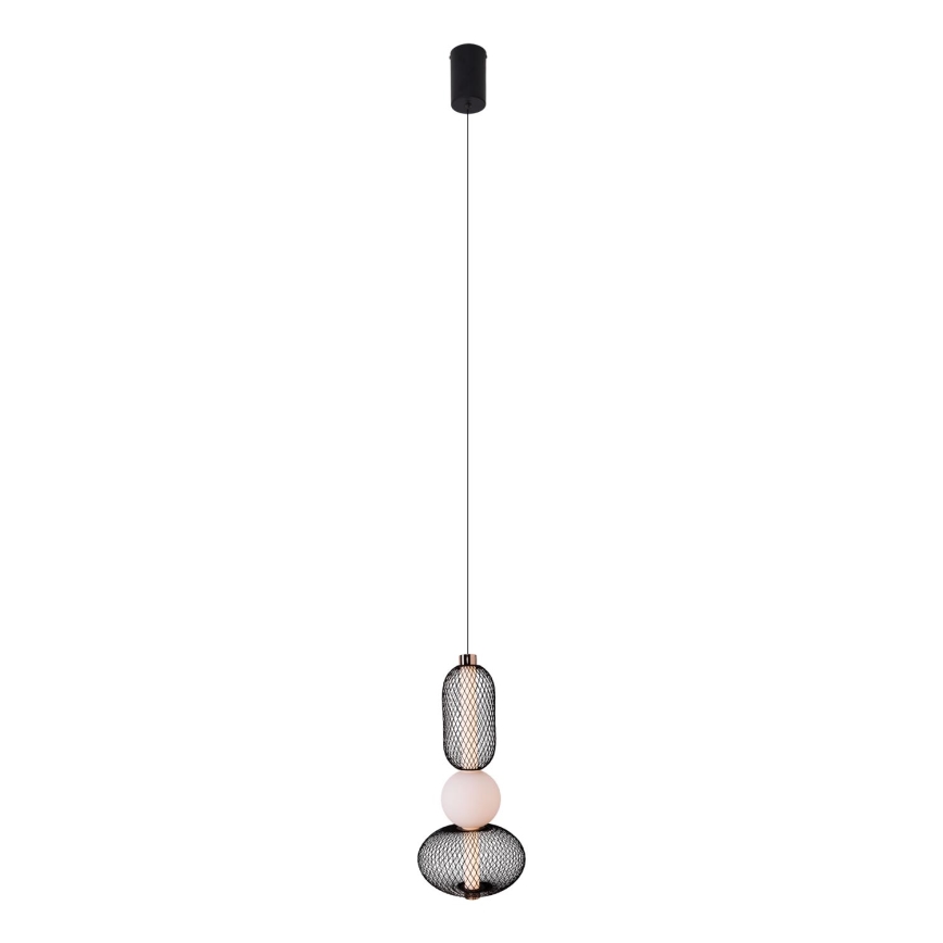 MAXLIGHT P0591 - Lampadario LED a sospensione con filo BORA LED/10W/230V diametro 22 cm bianco/nero
