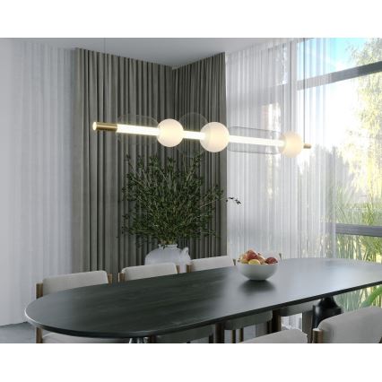 MAXLIGHT P0593 - Lampadario LED a sospensione con filo BORA LED/29W/230V bianco/nero