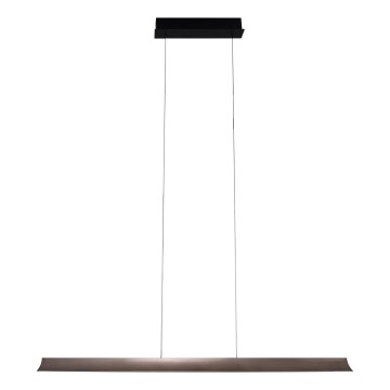 MAXLIGHT P0595 - Lampadario a sospensione con filo LED dimmerabile JO-JO LED/38W/230V 2700/4500/5500K antracite
