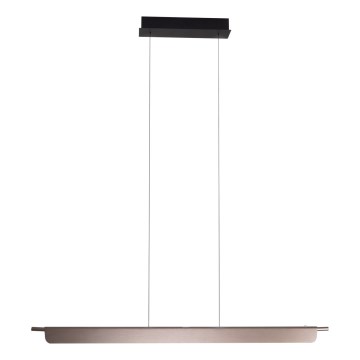 MAXLIGHT P0597 - Lampadario a sospensione con filo LED dimmerabile JO-JO LED/40W/230V 2700/4500/5500K antracite