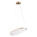 MAXLIGHT P0637D - Lampadario LED a sospensione su cavo EMPIRE LED/17W/230V oro