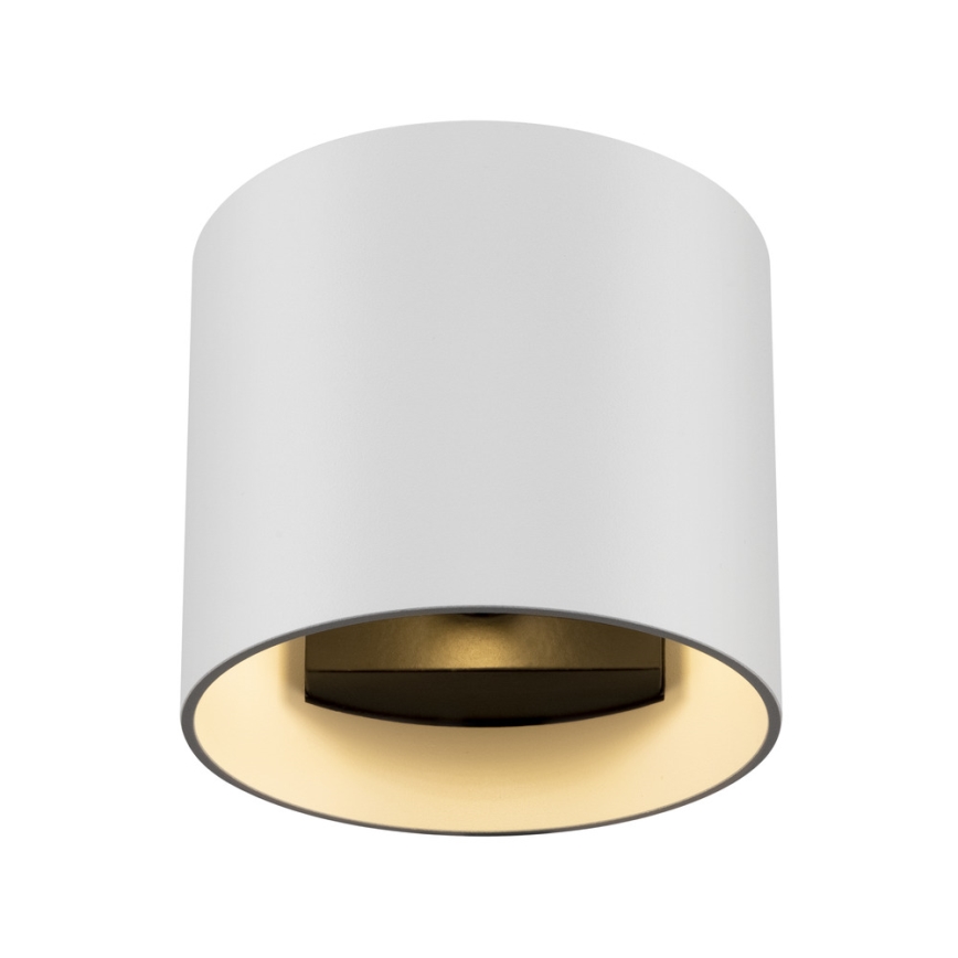 Maytoni C066WL-01W - Applique ROND 1xG9/50W/230V bianco