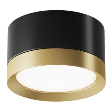 Maytoni C086CL-GX53-SRD-BG - Faretto HOOP 1xGX53/15W/230V nero/oro