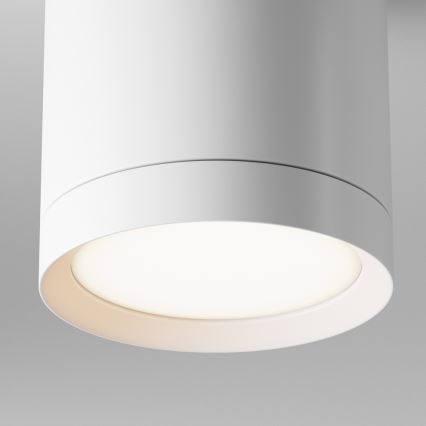 Maytoni C086CM-GX53-MRD-W - Faretto HOOP 1xGX53/15W/230V bianco