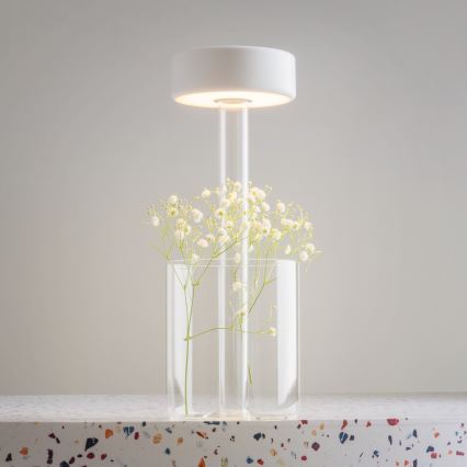 Maytoni MOD229TL-L3W3K1 - Lampada da tavolo portatile ricaricabile dimmerabile LED/3W/5V 2200-4000K 2000 mAh bianco/trasparente