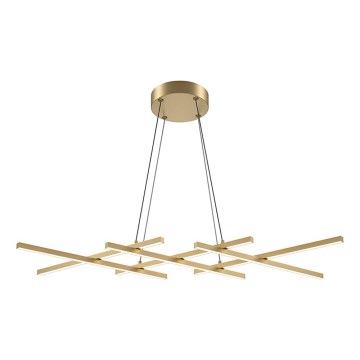 Maytoni MOD244PL-L50BSK - Lampadario LED sospeso su cavo HALO LED/40W/230V, oro
