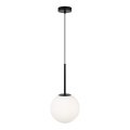 Maytoni MOD321PL-01B1 - Lampadario a sospensione con filo BASIC 1xE14/40W/230V nero