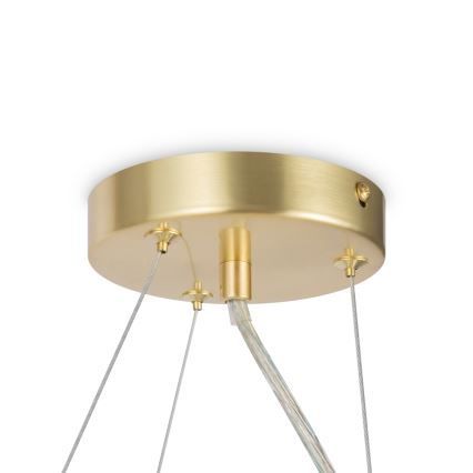 Maytoni MOD545PL-11BS - Lampadario a sospensione con filo DALLAS 11xG9/28W/230V oro