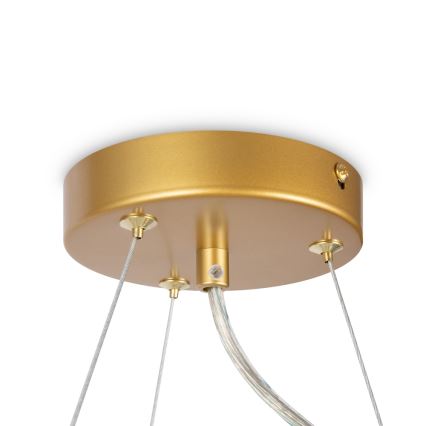 Maytoni MOD545PL-11G - Lampadario a sospensione con filo DALLAS 11xG9/28W/230V ottone