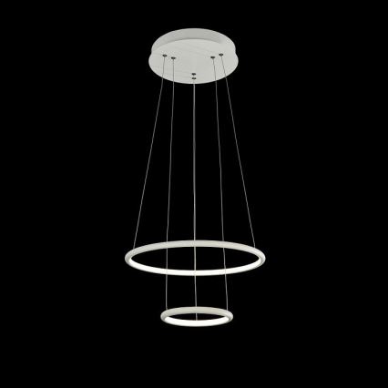 Lampadario LED a sospensione con filo NOLA LED/36W/230W