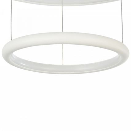 Maytoni MOD807-PL-02-36-W - Lampadario LED a sospensione con filo NOLA LED/36W/230V