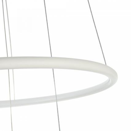 Lampadario LED a sospensione con filo NOLA LED/36W/230W
